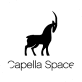 Capella Space logo
